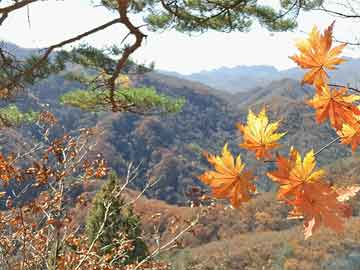 长安股票今日行情分析（最新点评）