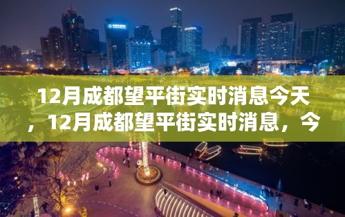 成都望平街最新实时消息与今日焦点聚焦