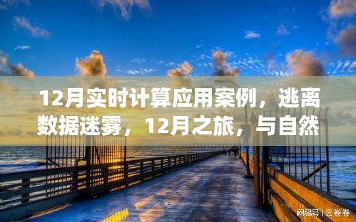 12月实时计算应用案例，数据迷雾中的逃离之旅与自然美景的实时对话