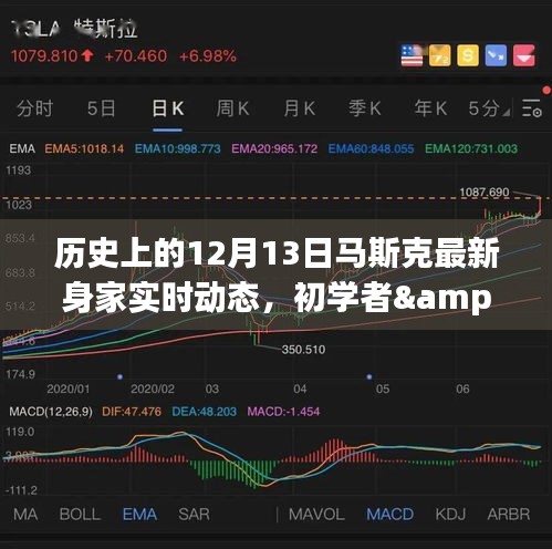 揭秘马斯克最新身家动态，历史上的12月13日追踪详解与初学者进阶指南