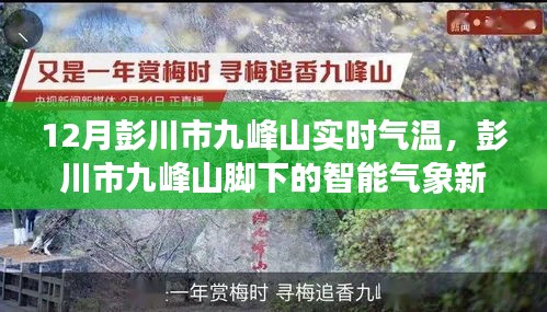 彭川市九峰山实时气温监测，智能气象新纪元引领生活新风尚