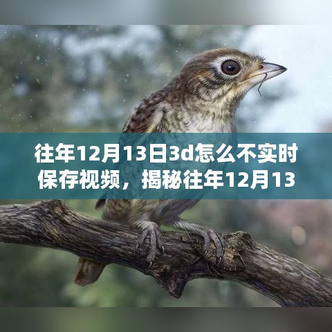 揭秘，为何往年12月13日3D技术未能实时保存视频的背后真相