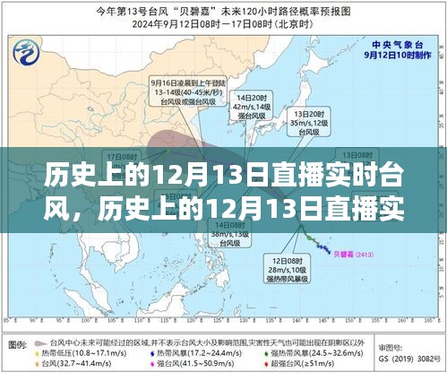 历史上的12月13日直播实时台风，全面评测与详细介绍