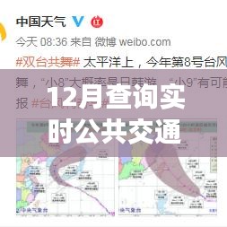 与实时出行共舞，12月实时公共交通查询指南