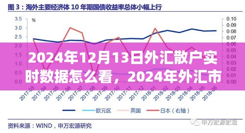 2024年外汇市场散户实时数据解读指南，如何查看与分析外汇散户实时数据