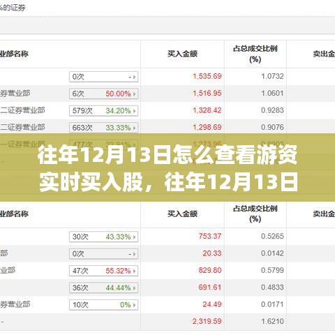 往年12月13日游资实时买入股查看指南，深度评测与介绍