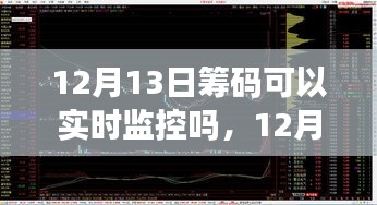 揭秘，12月13日筹码实时监控之旅，自然、内心与筹码的交响乐