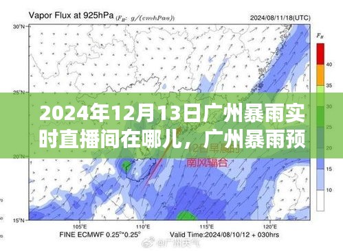 2024年广州暴雨预警及实时直播间观看指南