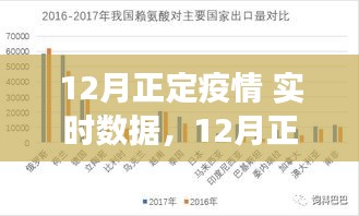 12月正定疫情实时数据深度分析与解读