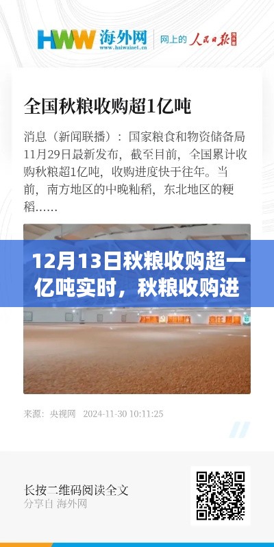 秋粮收购进展顺利，截至12月13日实时收购量超一亿吨的综合分析