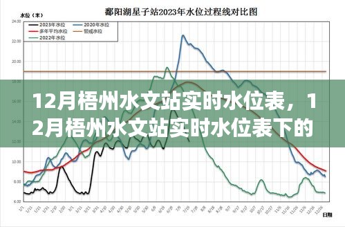 多维度观察与思考下的梧州水文站实时水位表分析