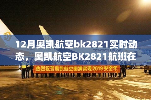 奥凯航空BK2821航班十二月实时动态与运营影响解析