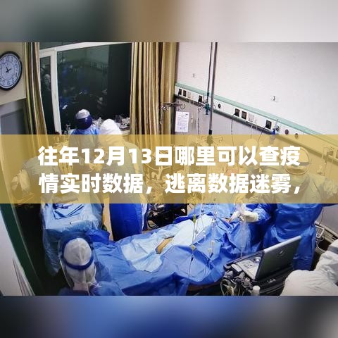 疫情之下的自然之旅，实时数据查询与美景中的内心平静探寻之路