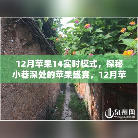 探秘苹果盛宴，独家体验苹果14实时模式下的秘密小巷