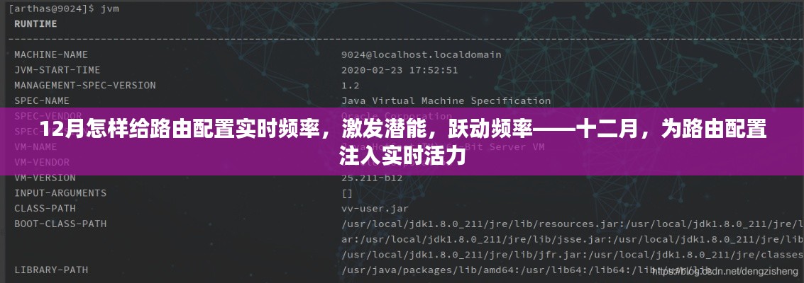 十二月路由配置实时优化，激发潜能，跃动频率，注入实时活力