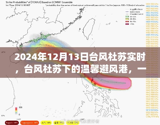 台风杜苏下的夏日奇遇，友情避风港实时报道 2024年12月13日