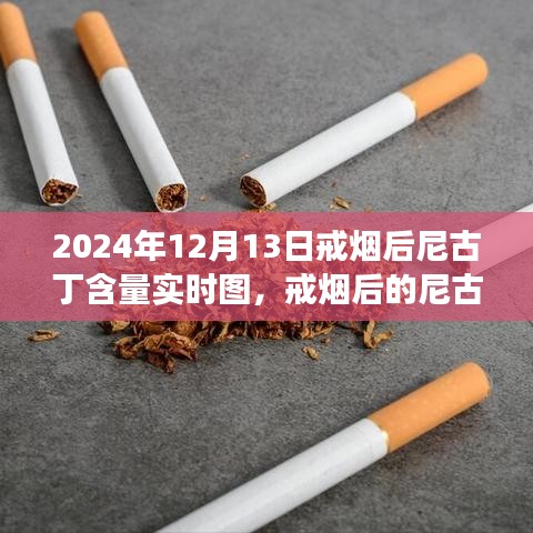 戒烟后尼古丁含量变化深度解读，实时图揭示戒烟过程尼古丁含量变化轨迹（图文详解）