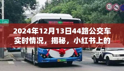 揭秘，小红书上的2024年12月13日44路公交车实时动态播报