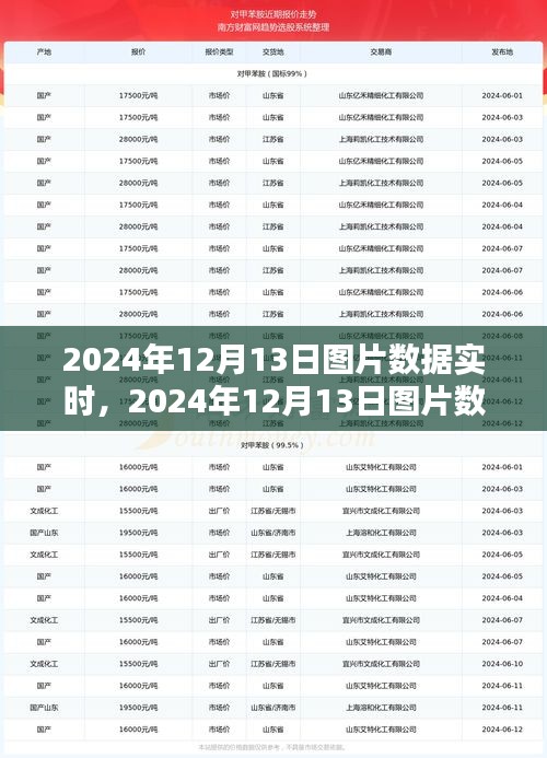 2024年12月13日图片数据实时获取与处理步骤指南，从初学者到进阶用户的全面指南