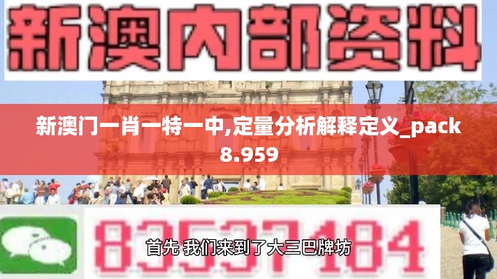 新澳门一肖一特一中,定量分析解释定义_pack8.959