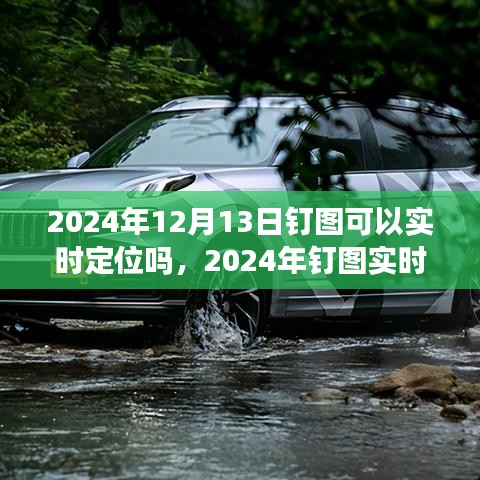 关于钉图实时定位功能解析，能否在2024年12月13日实现实时定位