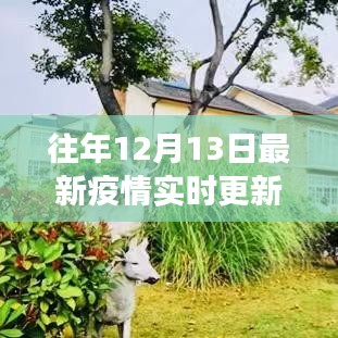 良渚疫情实时更新，科技助力重塑疫情防控新纪元