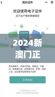 2024新澳门正版免费正题,高效实施方法解析_进阶款3.958