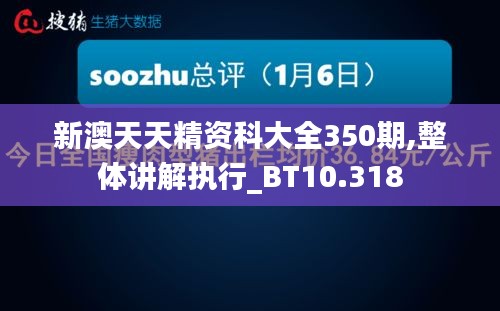 新澳天天精资科大全350期,整体讲解执行_BT10.318