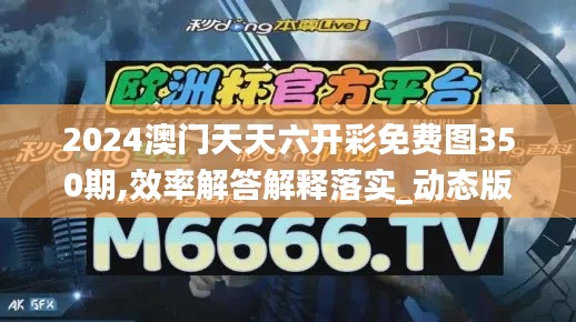 2024澳门天天六开彩免费图350期,效率解答解释落实_动态版10.717