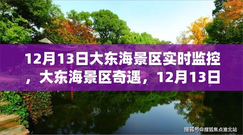 大东海景区奇遇，12月13日的魔法时光实时监控记录