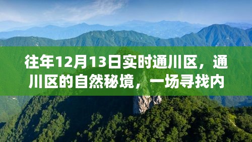 通川区自然秘境，寻找内心平静的奇妙之旅，12月13日实时探索之旅