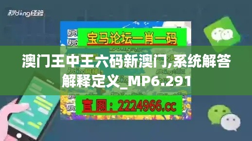 澳门王中王六码新澳门,系统解答解释定义_MP6.291