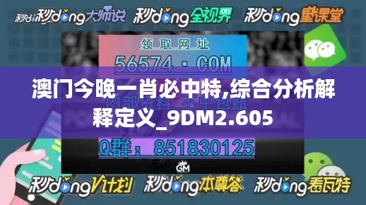 澳门今晚一肖必中特,综合分析解释定义_9DM2.605