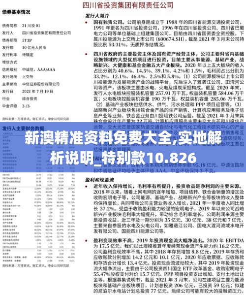 新澳精准资料免费大全,实地解析说明_特别款10.826