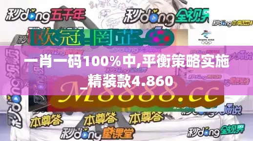 一肖一码100%中,平衡策略实施_精装款4.860