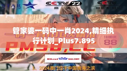 管家婆一码中一肖2024,精细执行计划_Plus7.895