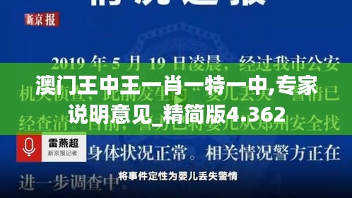 澳门王中王一肖一特一中,专家说明意见_精简版4.362