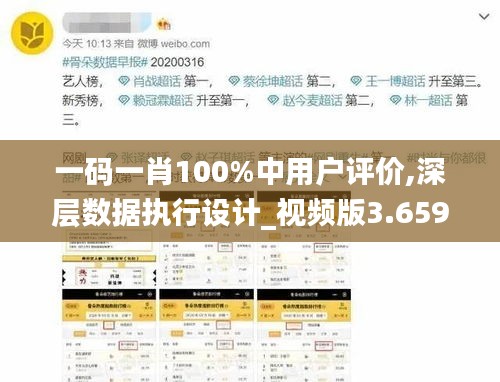 一码一肖100%中用户评价,深层数据执行设计_视频版3.659