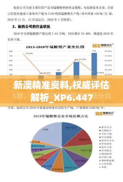 新澳精准资料,权威评估解析_XP6.447