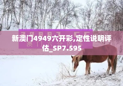 新澳门4949六开彩,定性说明评估_SP7.595