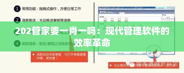 202管家婆一肖一吗：现代管理软件的效率革命