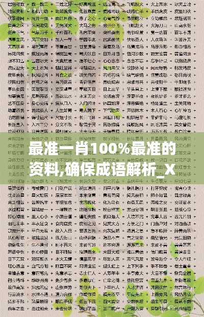 最准一肖100%最准的资料,确保成语解析_X版5.471