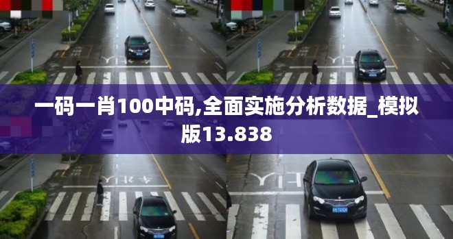 一码一肖100中码,全面实施分析数据_模拟版13.838