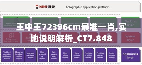 王中王72396cm最准一肖,实地说明解析_CT7.848