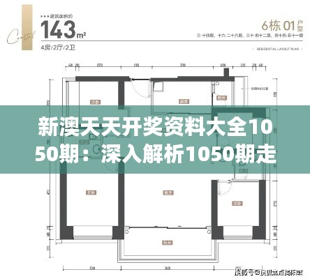 新澳天天开奖资料大全1050期：深入解析1050期走势的洞察力