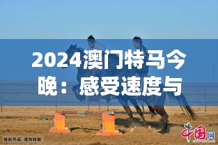 2024澳门特马今晚：感受速度与激情的盛会时刻