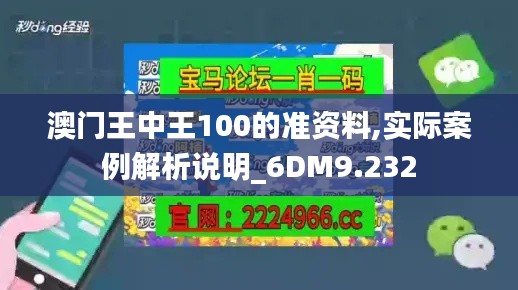 澳门王中王100的准资料,实际案例解析说明_6DM9.232