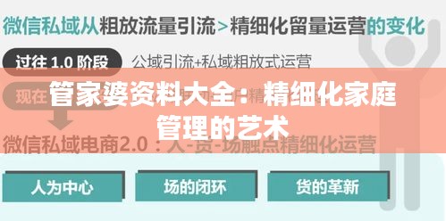 管家婆资料大全：精细化家庭管理的艺术