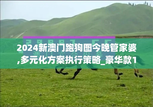 2024新澳门跑狗图今晚管家婆,多元化方案执行策略_豪华款1.998