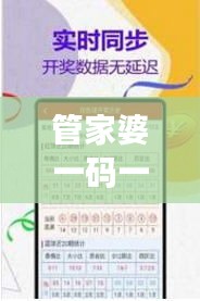 管家婆一码一肖最准图片：深入解析其背后的精准预测逻辑